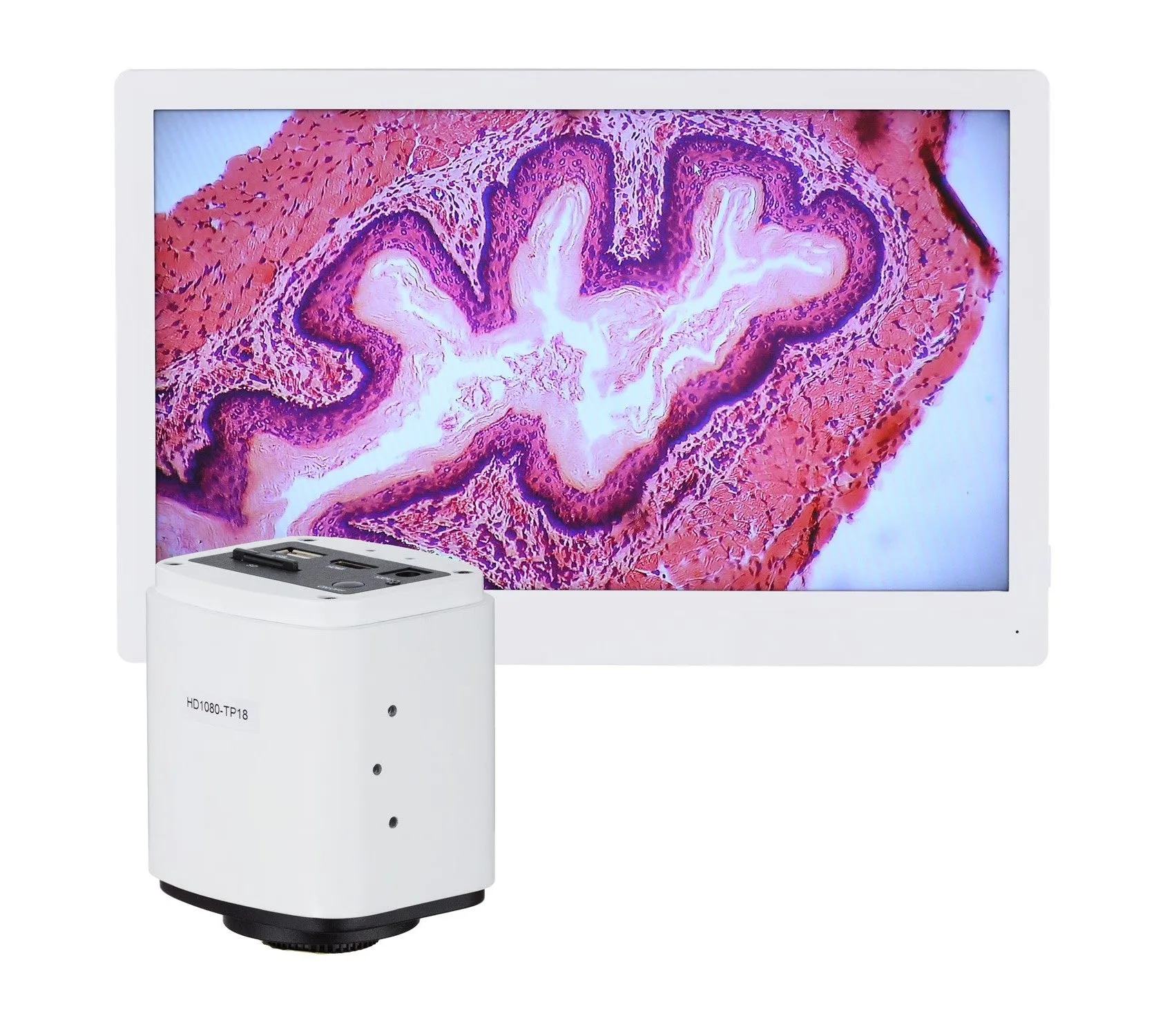 0.7X-5X HDMI Digital Microscope with 11.5" Monitor