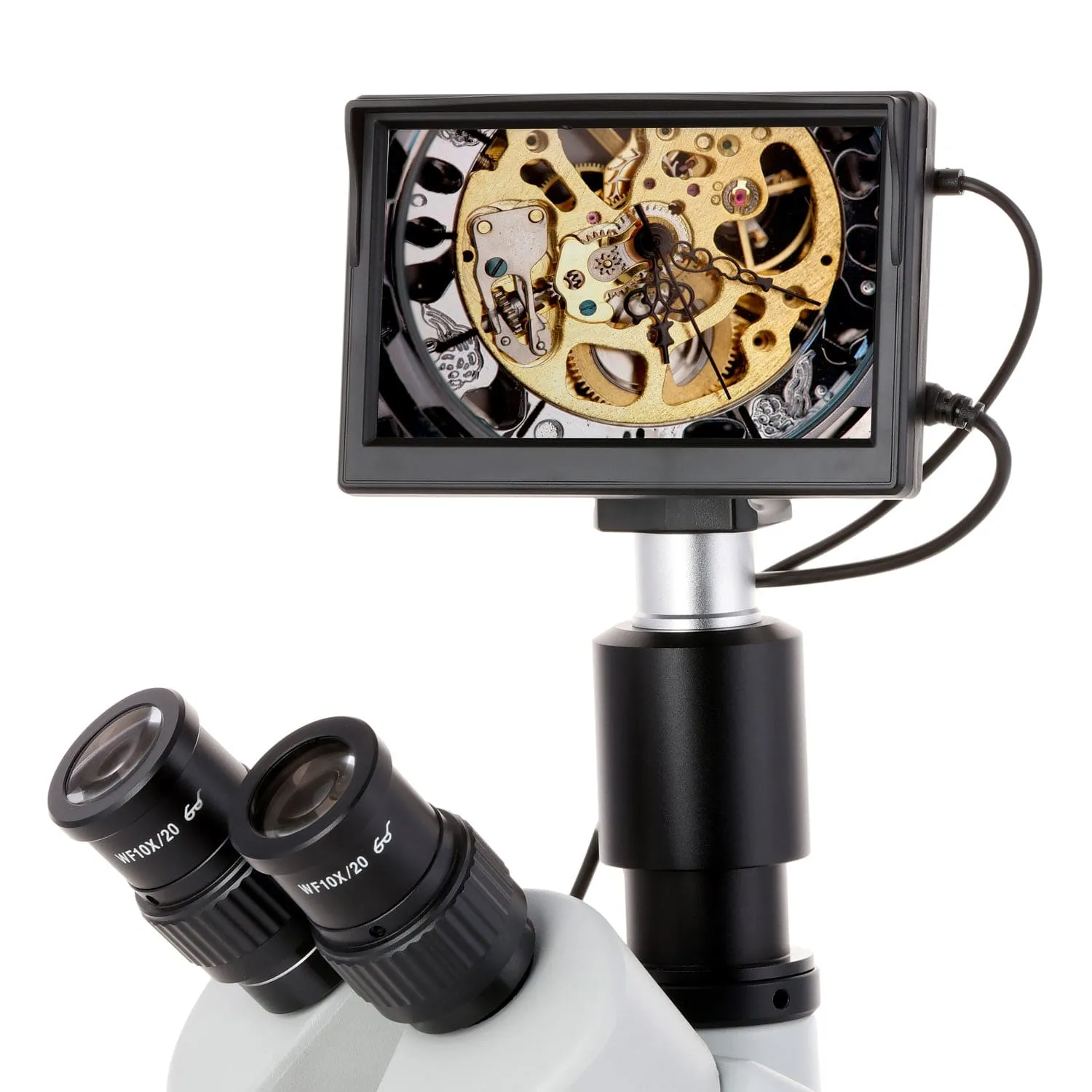 AmScope HD Series 5" Screen with Built-In Camera for Microscopes