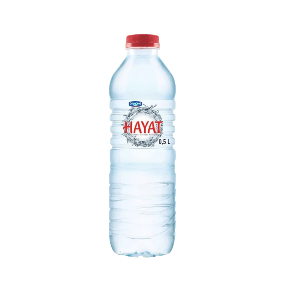 DANONE HAYAT Mineral Water 500ml
