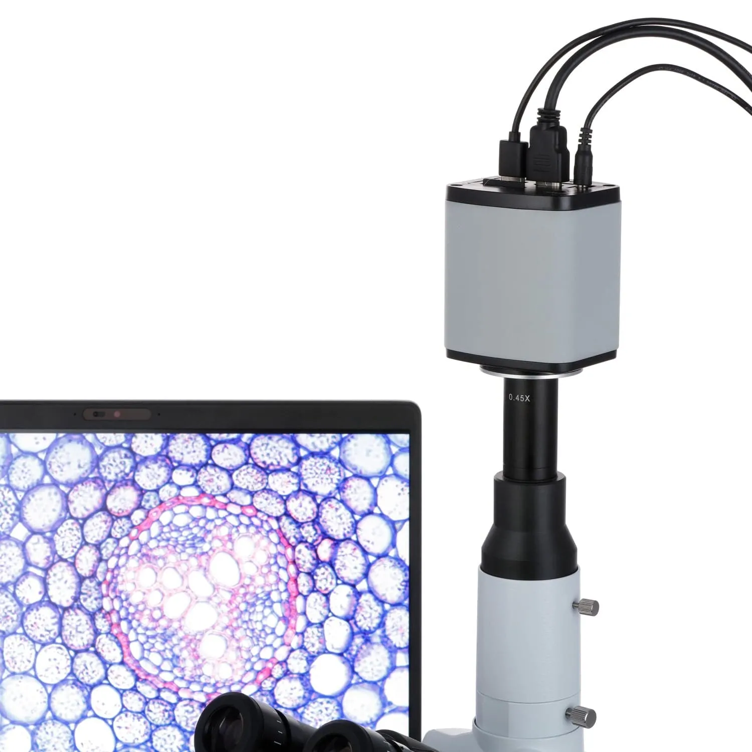 Euromex VC Series HD-Lite HD1080p 5.0MP Color Camera - 1/2.5" Aptina CMOS Sensor with HDMI and USB-2 interfaces