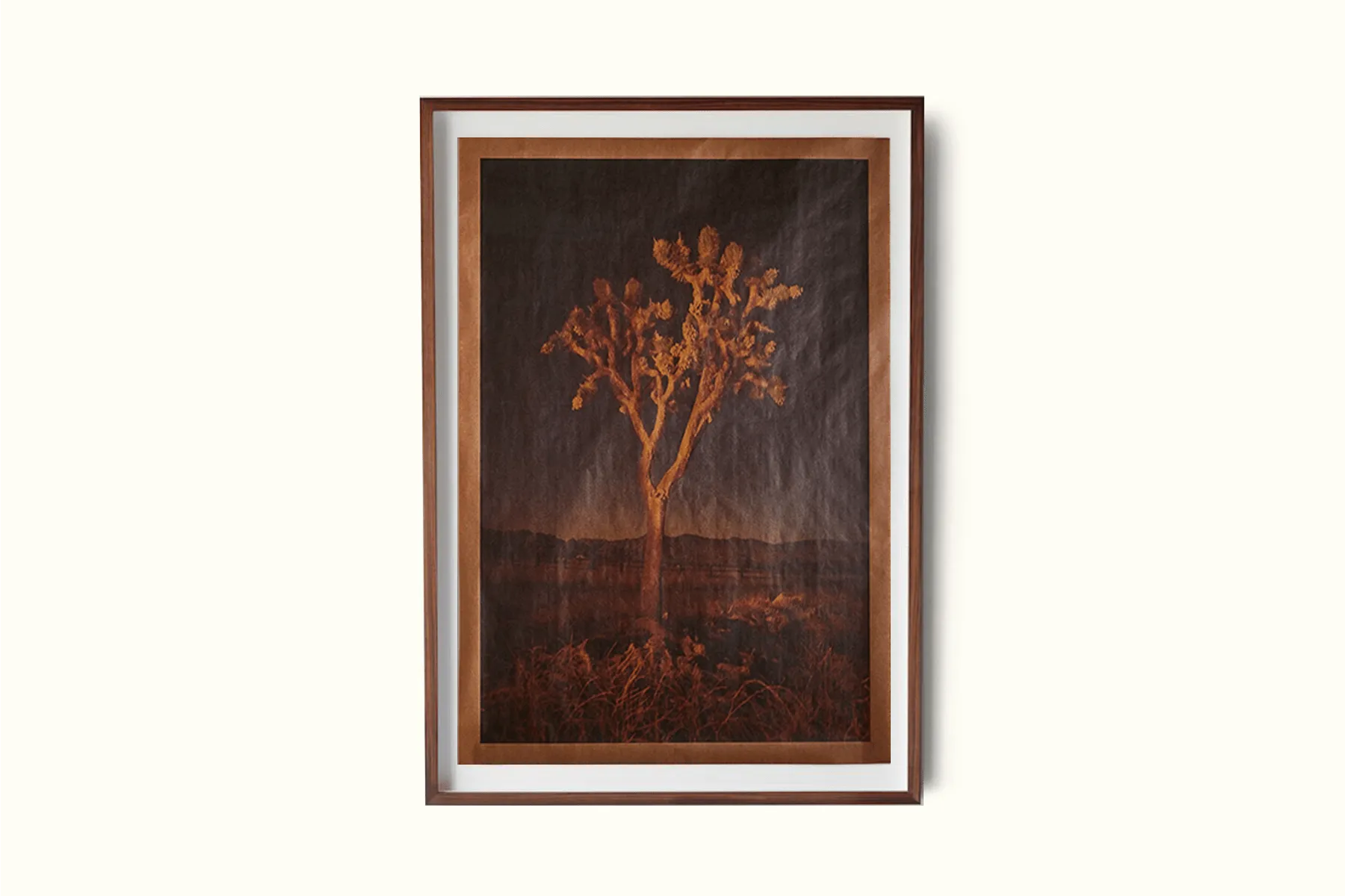 Joslyn Lawrence, Hunting for Nighthawks, Pioneertown, California
