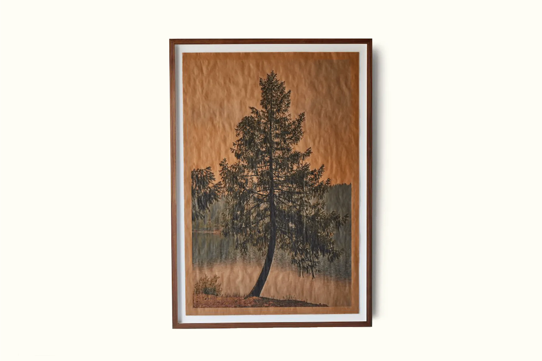 Joslyn Lawrence, Summer Song Shasta California