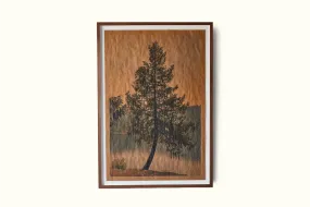 Joslyn Lawrence, Summer Song Shasta California