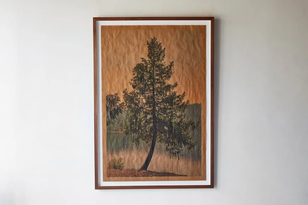 Joslyn Lawrence, Summer Song Shasta California