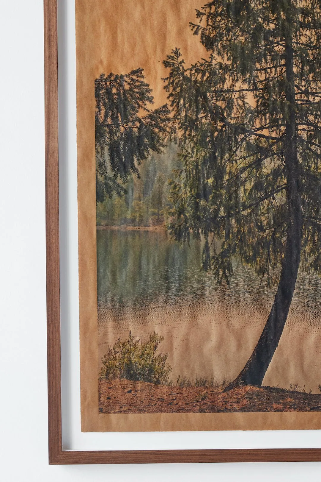 Joslyn Lawrence, Summer Song Shasta California