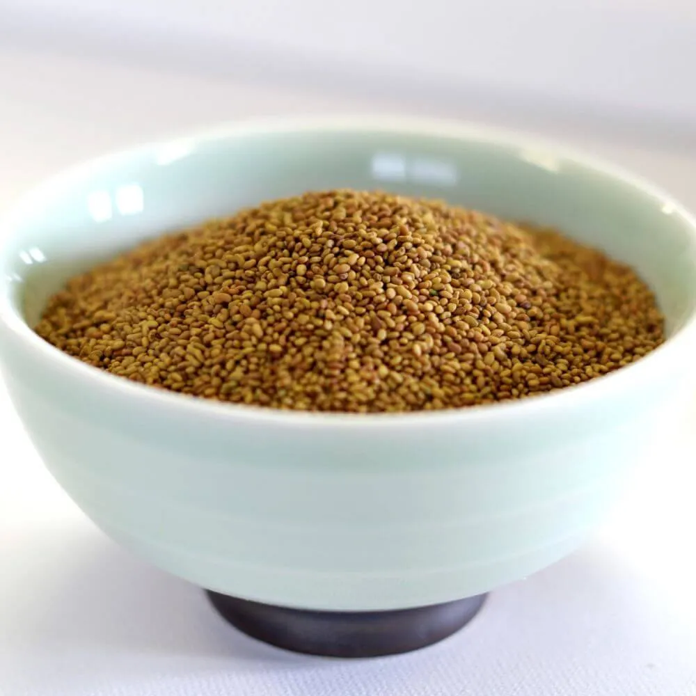 Rainy Day Foods Alfalfa Seeds 88 oz #10 Can - 832 Servings
