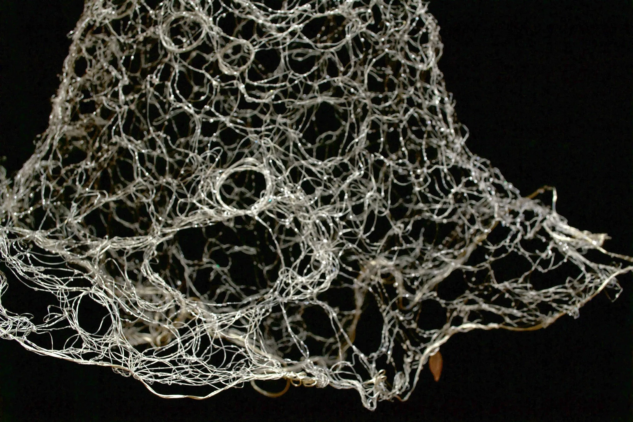 Tela Retis (Web Network) SOLD
